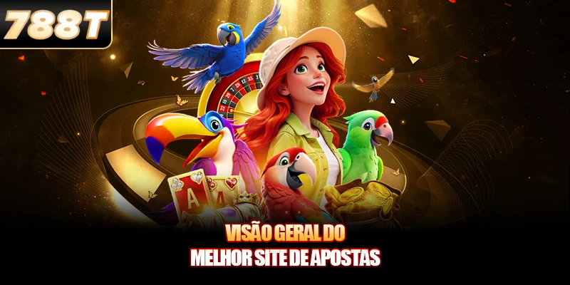 Visão geral do Melhor Site de Apostas